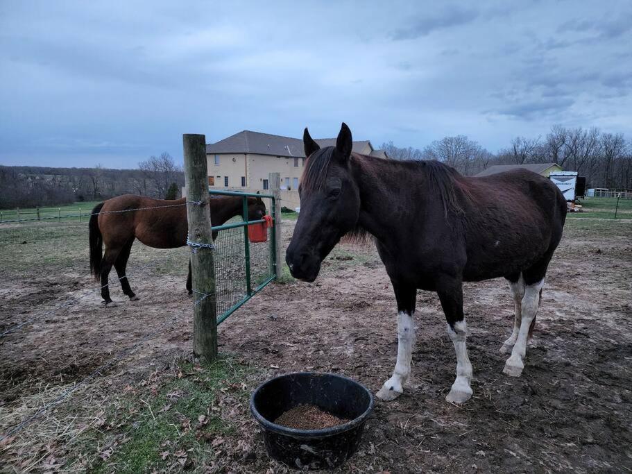 Hotel Deer Run Estate Llc Marshfield Esterno foto